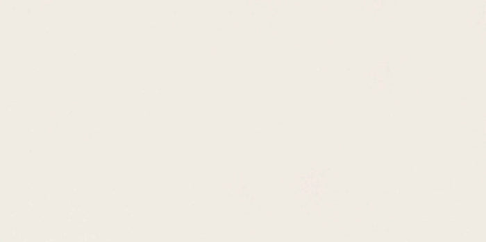 Absolute White:  Polished Porcelain 6mm