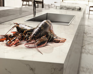 This lobster is no match to the resilience and LEED and NSF certifications of this high quality Italian porcelain countertop! Learn more from the distributor in Edmonton, Alberta. 